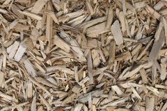 biomass boilers Linklater